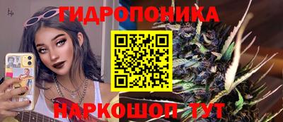 гидра Нальчик