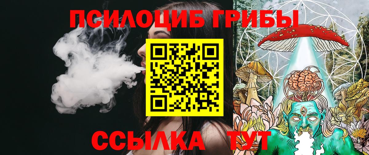 Чусовой  Псилоцибиновые грибы Cubensis  Вход с VPN 